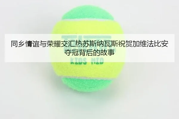 同乡情谊与荣耀交汇热苏斯纳瓦斯祝贺加维法比安夺冠背后的故事